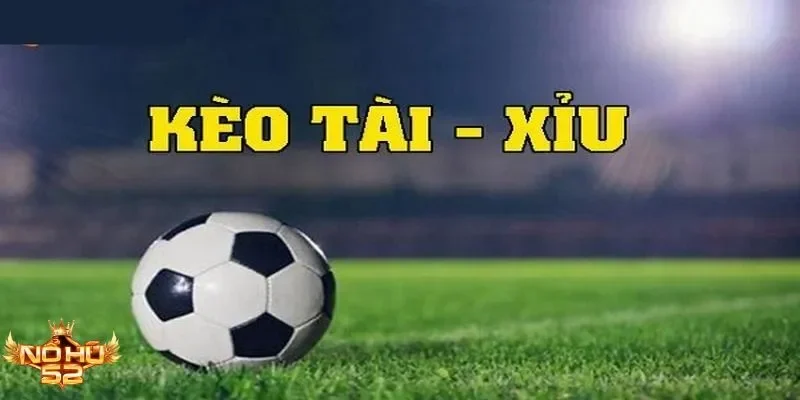 Chiến thuật cược tài xỉu Nohu giúp tối ưu lợi nhuận nhanh
